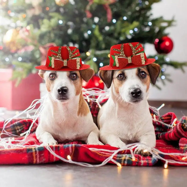 Chapeau rouge de Noël pour animaux de compagnie - HautePattes