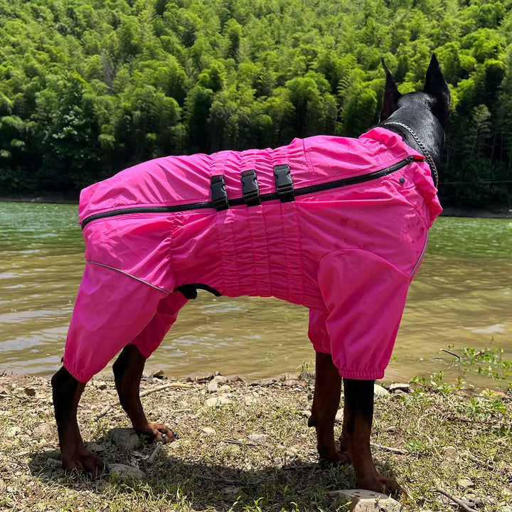 Imperméable 4 pattes pour chien – Confort, style & protection