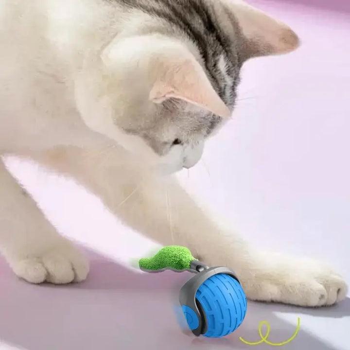 Balle Interactive Intelligente pour Chat - HautePattes