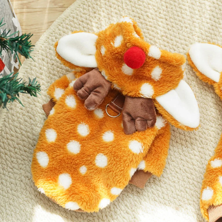 Costume renne pour chien : chaleur, douceur, photos craquantes