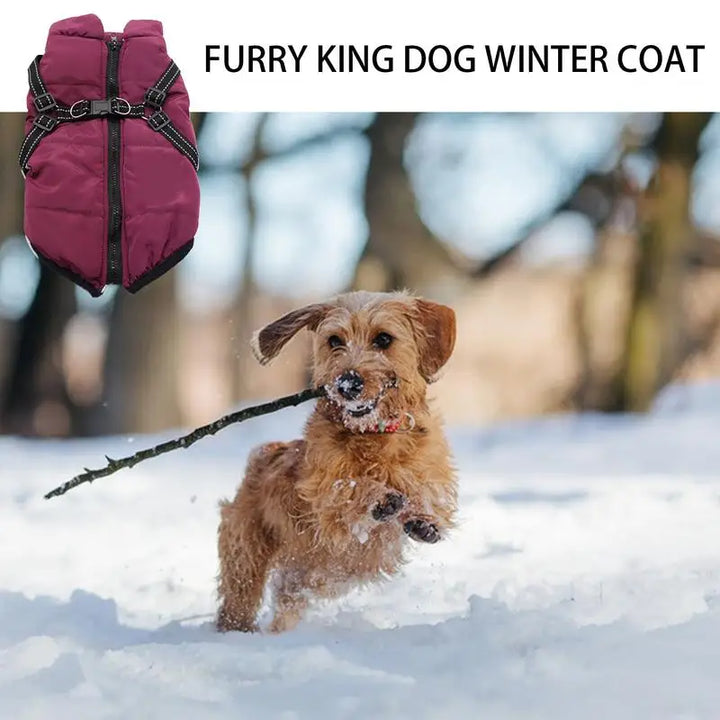 Manteau chaud avec harnais intégré – Hiver serein pour votre chien