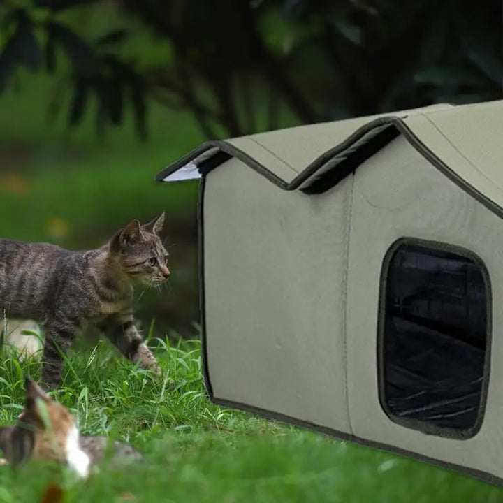Abri imperméable pour chat extérieur : un vrai refuge d’amour