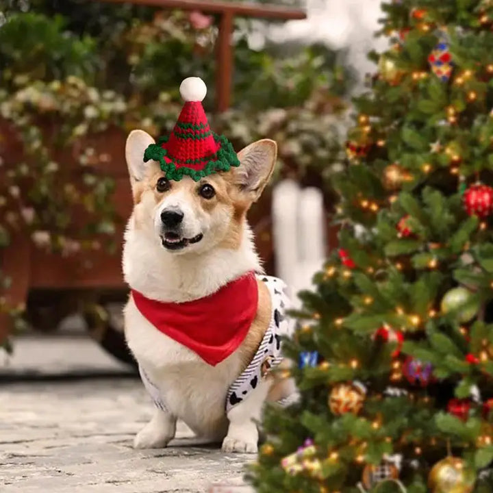 Bonnet de Noël chat ou chien - Le petit détail qui touche les cœurs