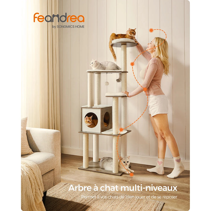 Arbre à chat 165 cm – Élégant refuge vertical pour chats exigeants