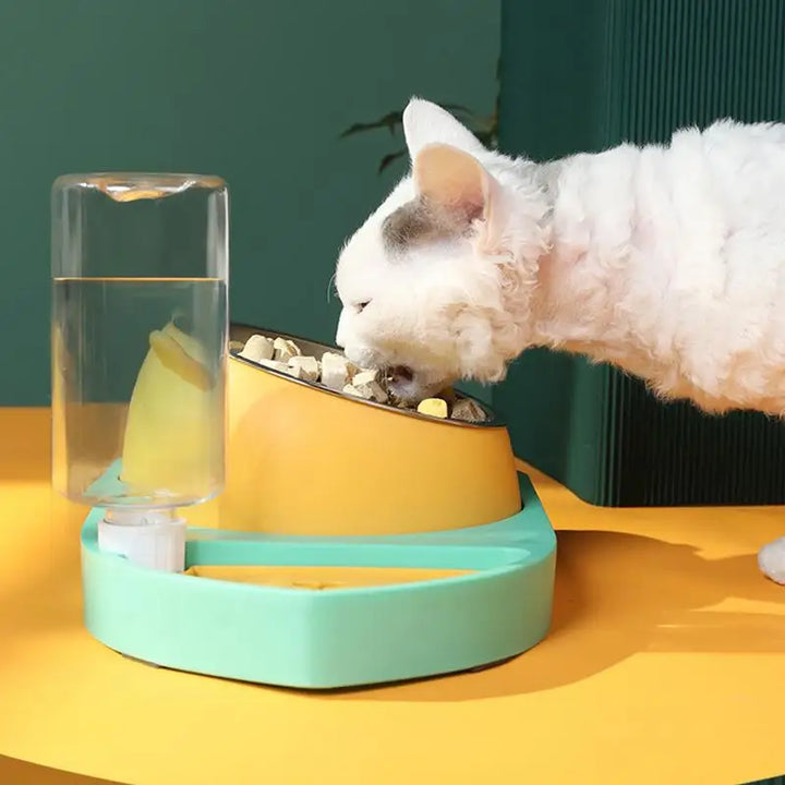 Gamelle 3-en-1 pour chat – Hydraté, bien nourri, en sécurité