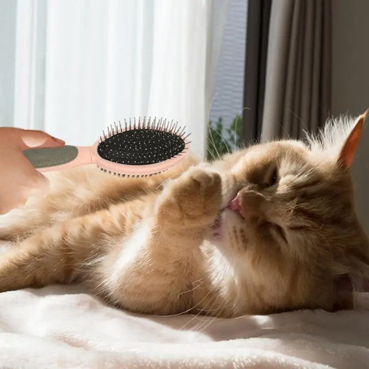 Brosse toilettage chien chat : douceur, complicité et zéro nœud