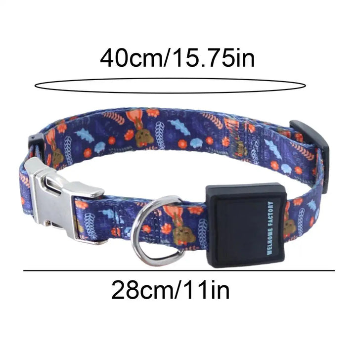 Collier pour chien puissant – Résistance, confort, respect du lien