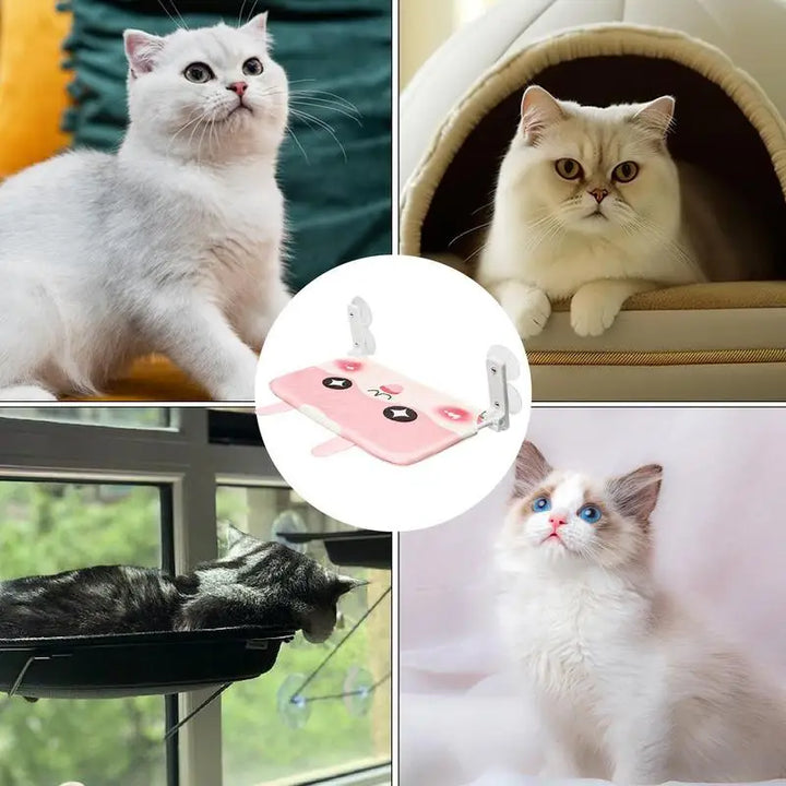 Hamac suspendu à ventouses pour chat - HautePattes