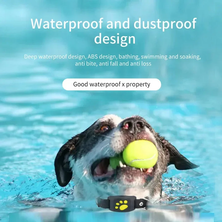 Collier GPS pour chien & chat – Ne le perds plus jamais de vue