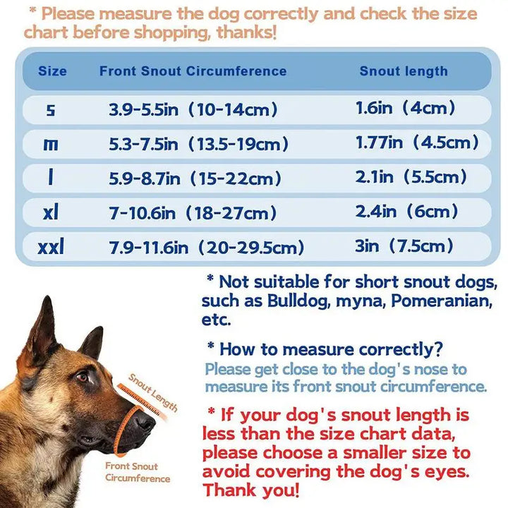 Muselière pour grand chien : protégez sans brimer, encadrez avec amour