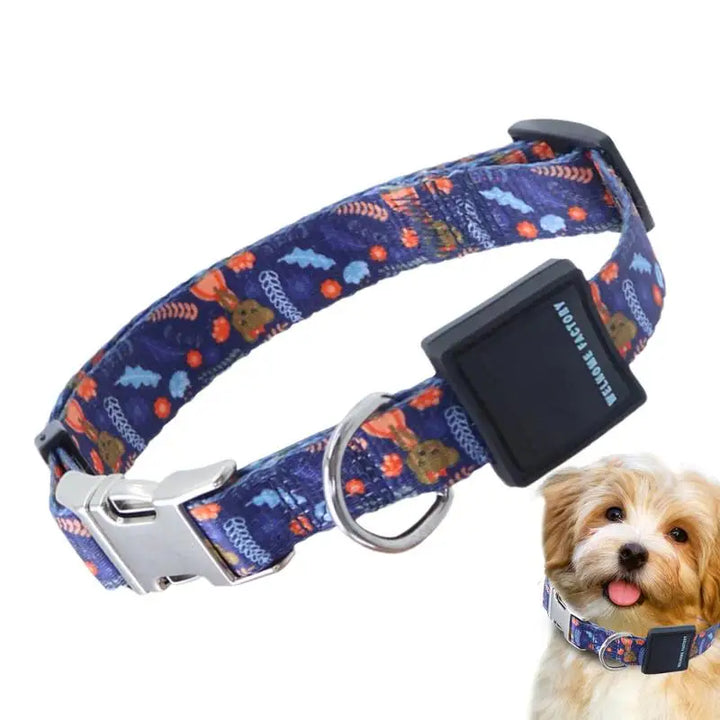 Collier pour chien puissant – Résistance, confort, respect du lien