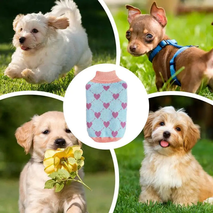 Pull en Tricot à Col Roulé pour Chiens & Chats - HautePattes