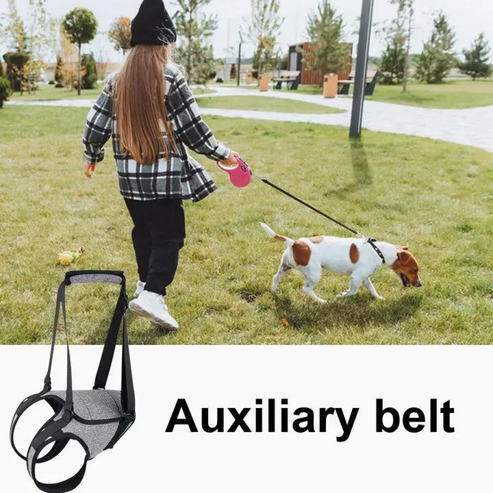 Harnais arrière pour chien âgé soutien doux et respectueux