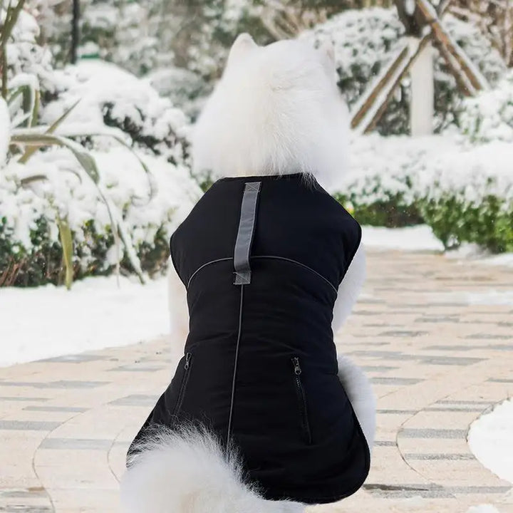 Manteau col roulé 4 pattes pour petit chien élégant