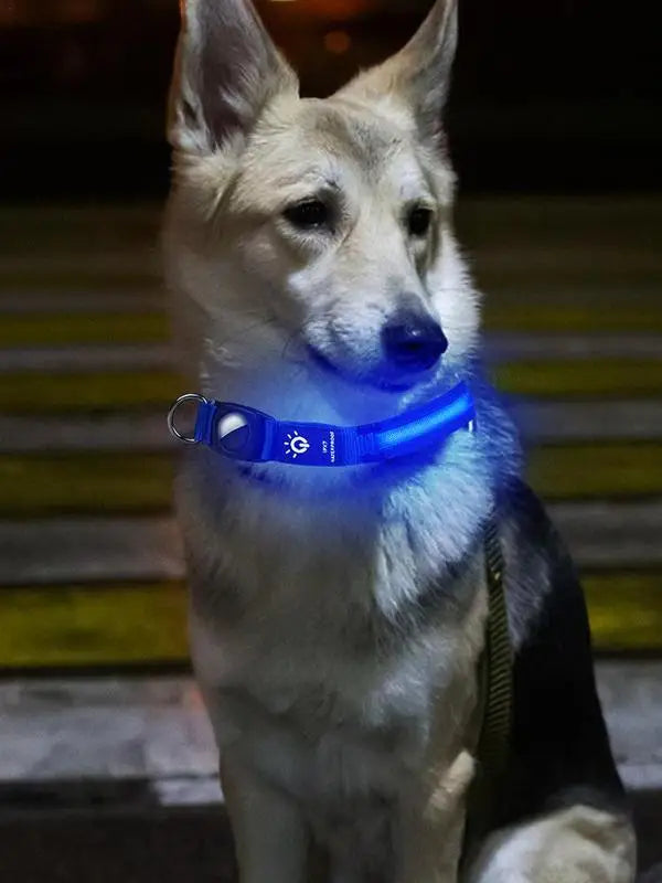 Collier lumineux chien AirTag : visible, localisable, rassurant de jour comme de nuit