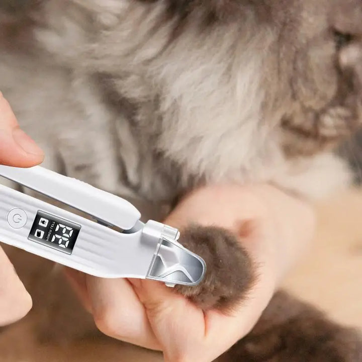 Lime Coupe Griffe Silencieuse Électrique - HautePattes