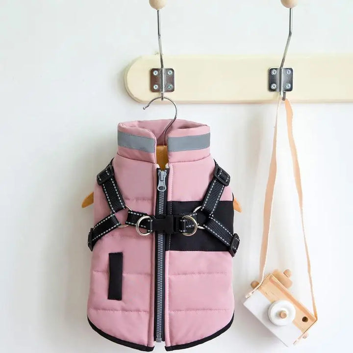 Manteau imperméable doublé pour chien stylé