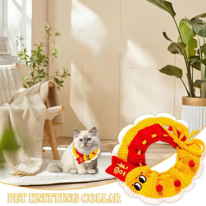 Collerette tricoté chien chat : accessoire doux & complice à porter fièrement
