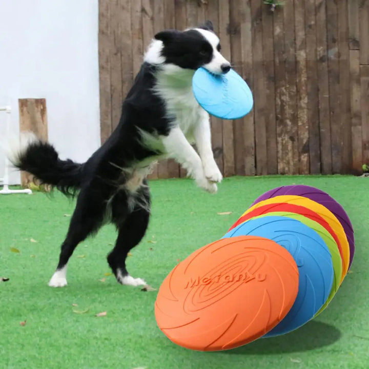 Frisbee Ultra-Résistant pour Chiens - HautePattes