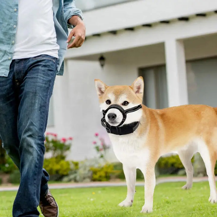 Muselière réfléchissante pour chien : sécurité nocturne & confort absolu