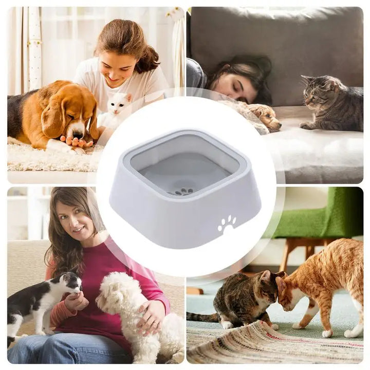 Gamelle anti-fuite pour chien grande capacité - HautePattes