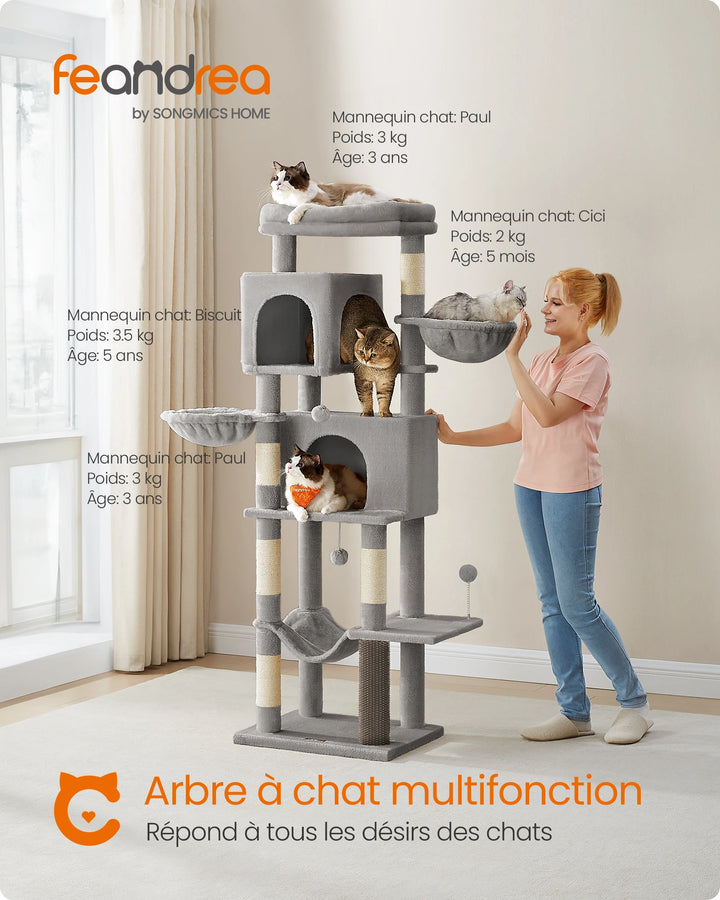Arbre à chat 175 cm – Univers vertical pour chats épanouis