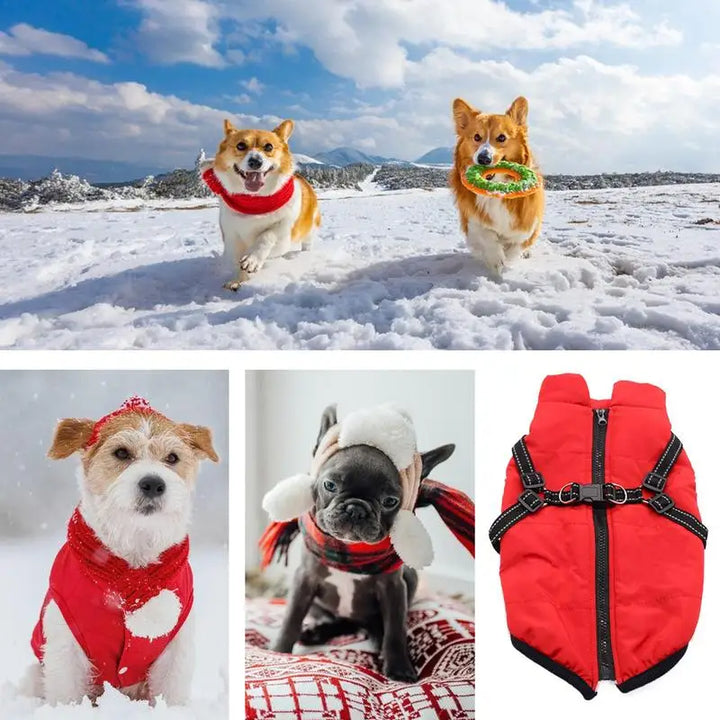 Manteau chaud avec harnais intégré – Hiver serein pour votre chien