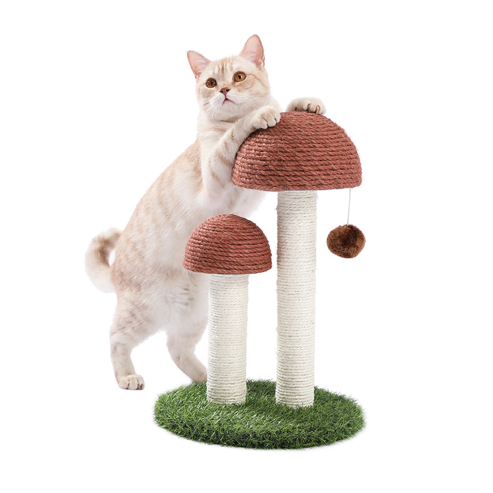Petit Arbre à Chat Champignon - HautePattes
