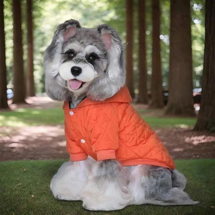 Manteau chaud avec bandes réfléchissantes pour chien courageux