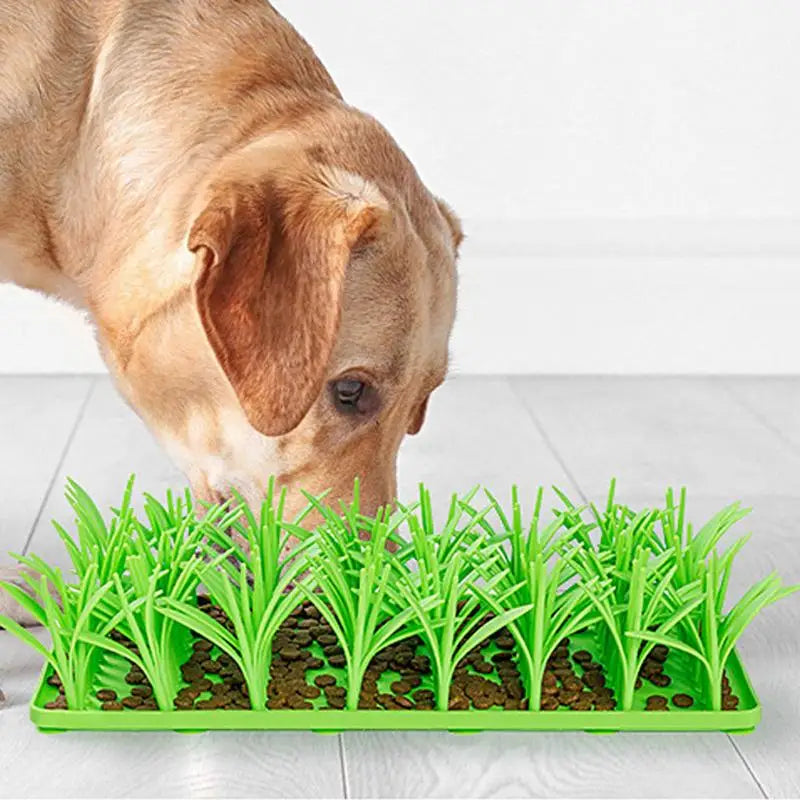 Tapis d’alimentation en herbe pour animaux de compagnie - HautePattes