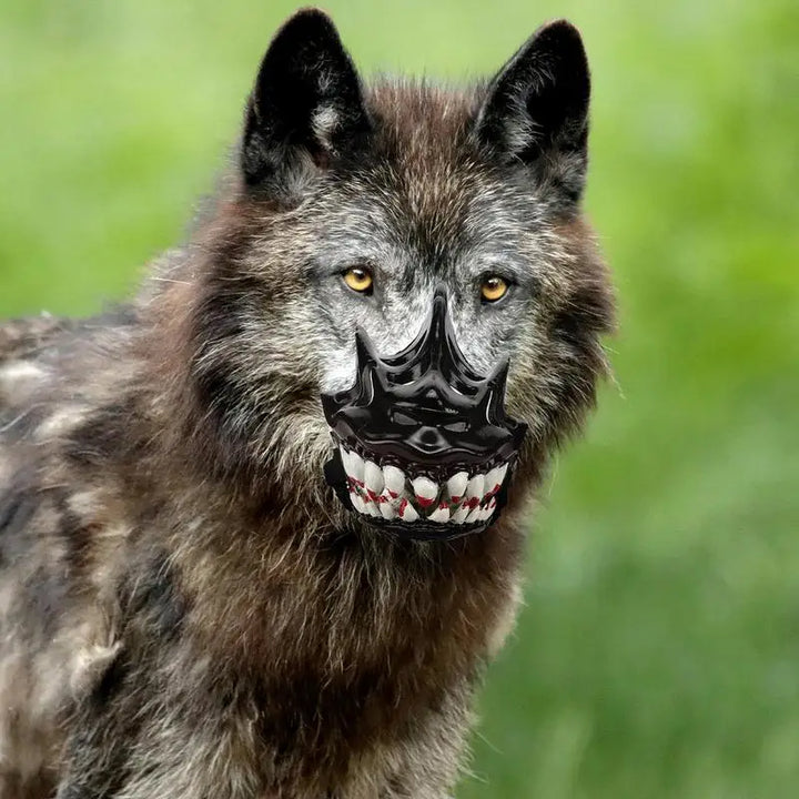 Muselière Halloween pour chien : gueule monstrueuse, confort affectueux