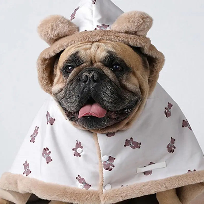 Couverture cape avec capuche pour animaux de compagnie - HautePattes