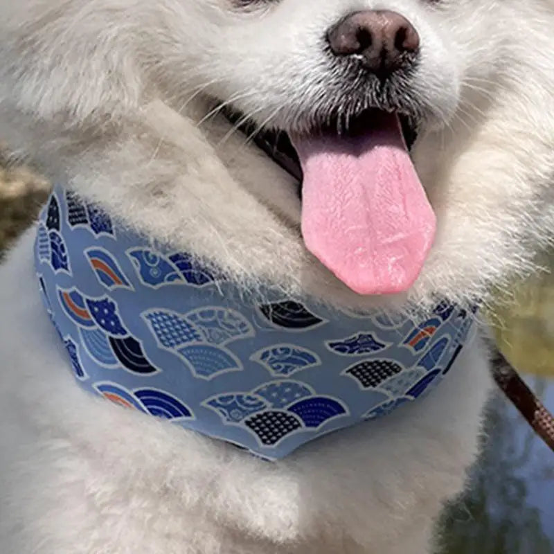 Bandana rafraîchissant chien chat – Fraîcheur douce Soulagement immédiat