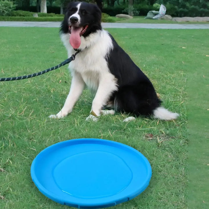 Frisbee Ultra-Résistant pour Chiens - HautePattes