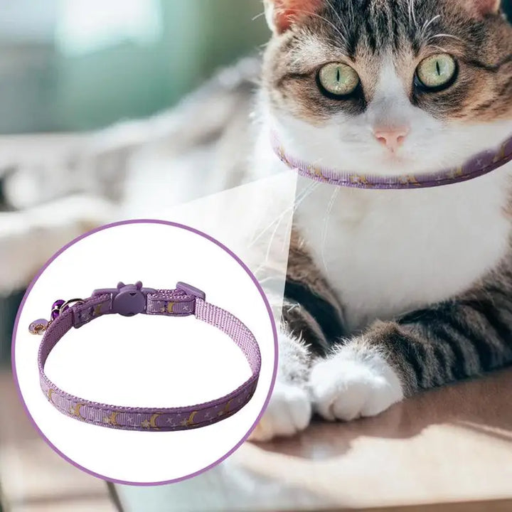 Collier chat Moon & Star : lien sacré & style céleste