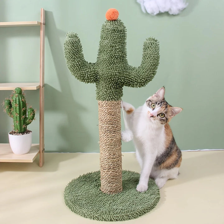 Griffoir Cactus pour Chat - HautePattes