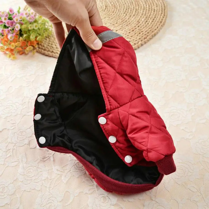 Manteau chaud avec bandes réfléchissantes pour chien courageux