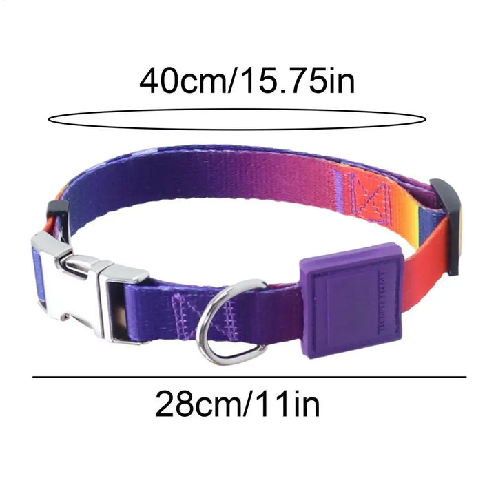 Collier pour chien puissant – Résistance, confort, respect du lien