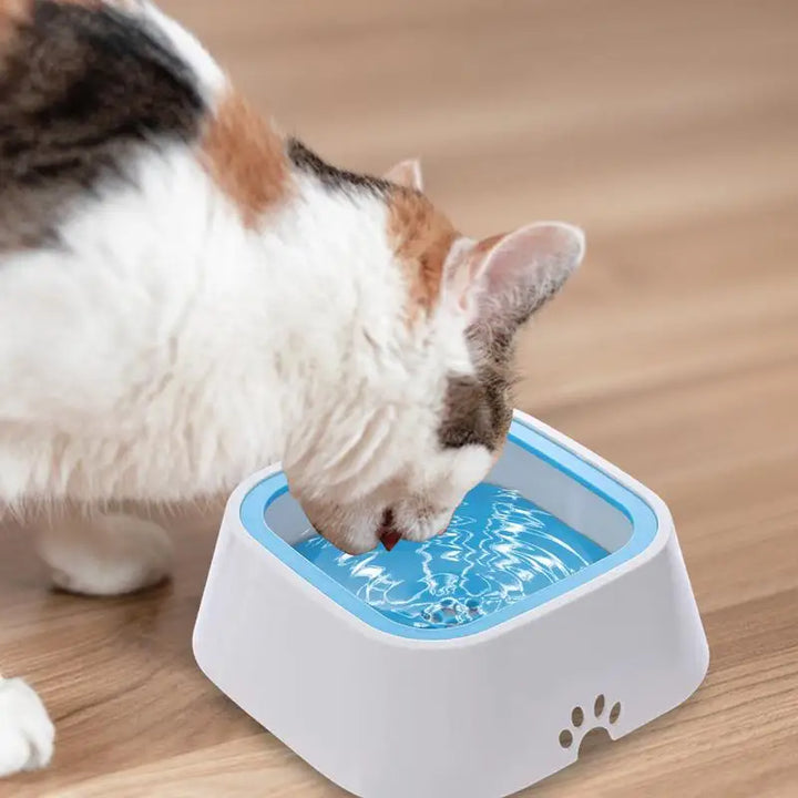 Gamelle anti-fuite pour chien grande capacité - HautePattes