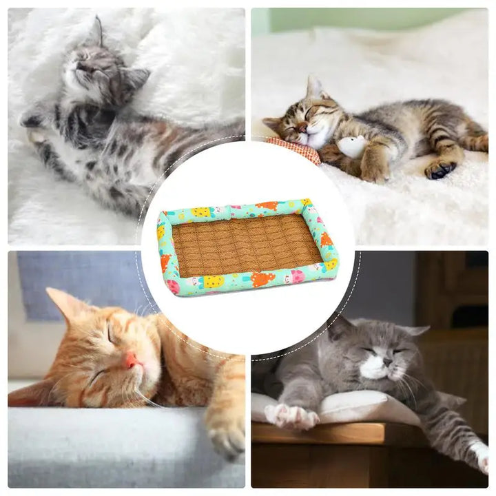 Tapis rafraîchissant chien et chat - HautePattes
