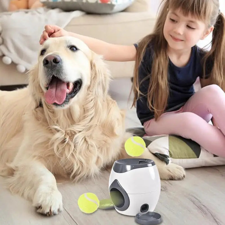 Lanceur de balles interactif pour chien - HautePattes