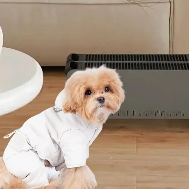 Manteau imperméable à capuche pour chien stylé et protégé