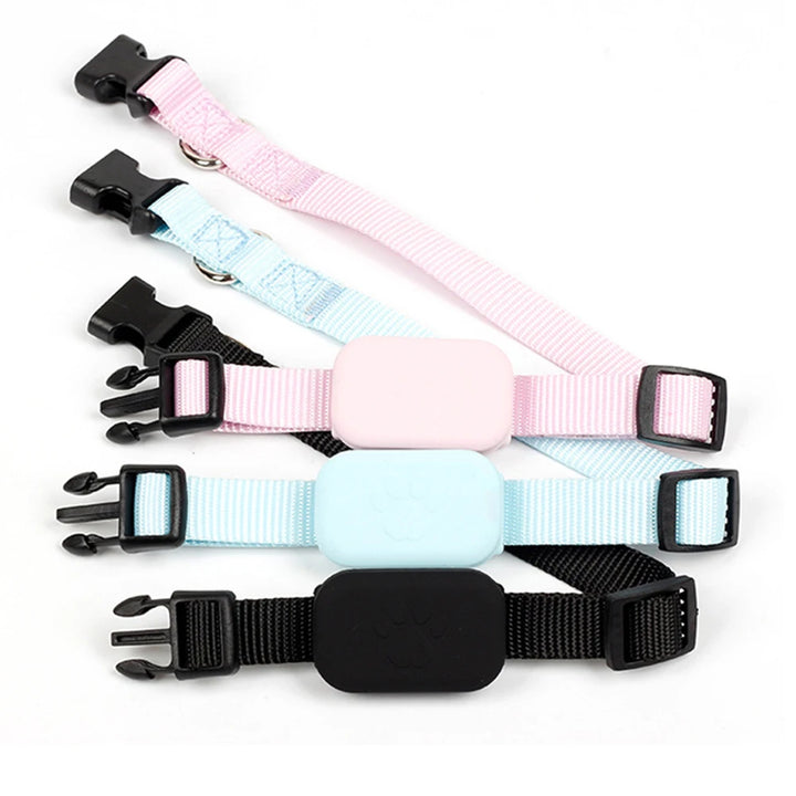 Collier GPS chien & chat : visible, localisable, et toujours retrouvable