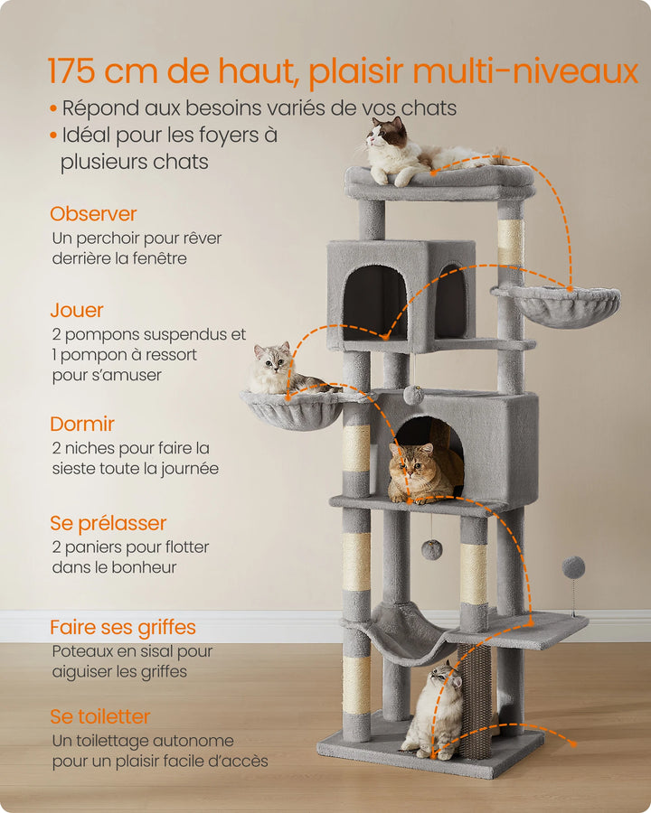 Arbre à chat 175 cm – Univers vertical pour chats épanouis