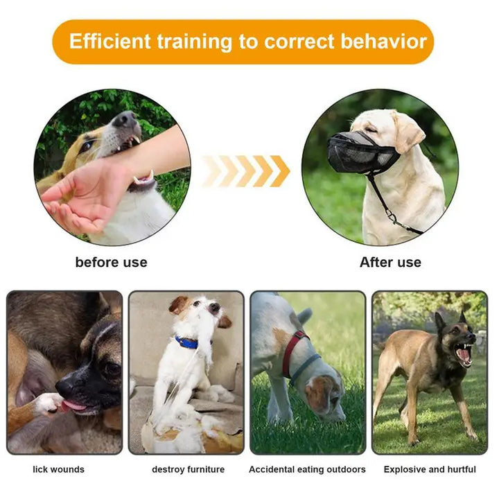 Muselière maille 2XL pour chien : maîtrise douce, confort total