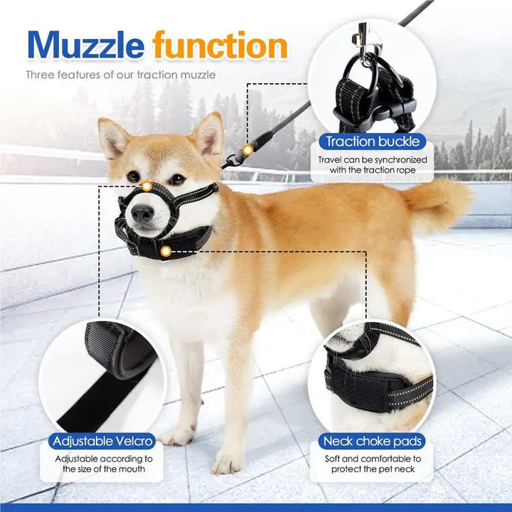 Muselière réfléchissante pour chien : sécurité nocturne & confort absolu