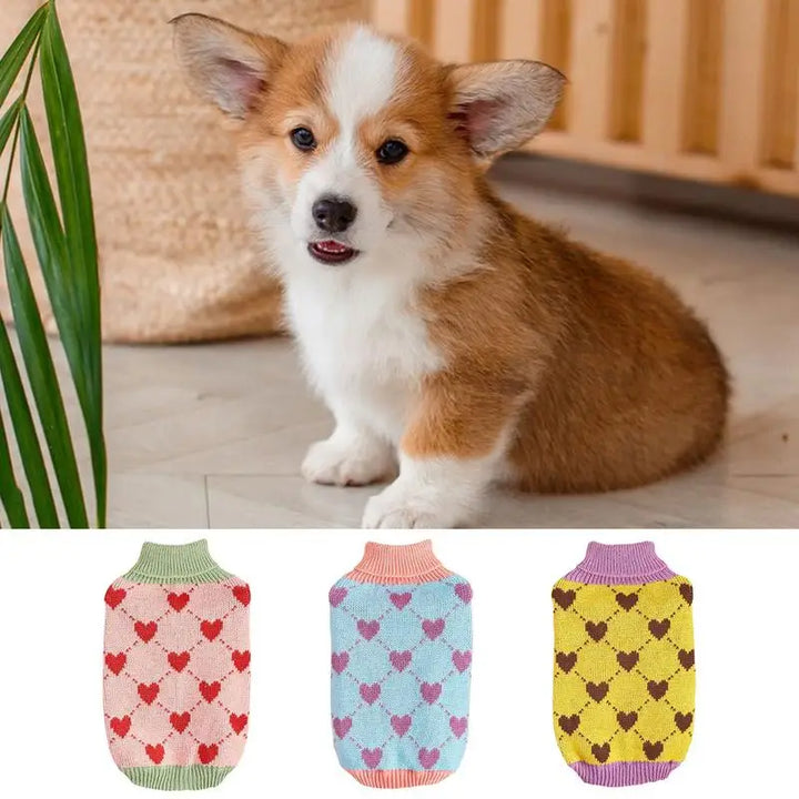 Pull en Tricot à Col Roulé pour Chiens & Chats - HautePattes