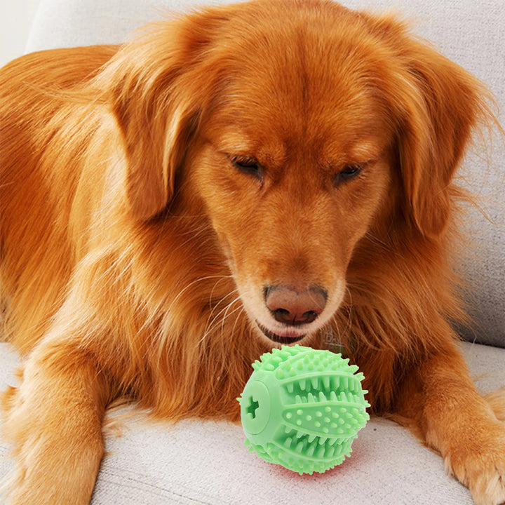 Balle Intelligente à Friandises – Éveillez l’instinct - HautePattes