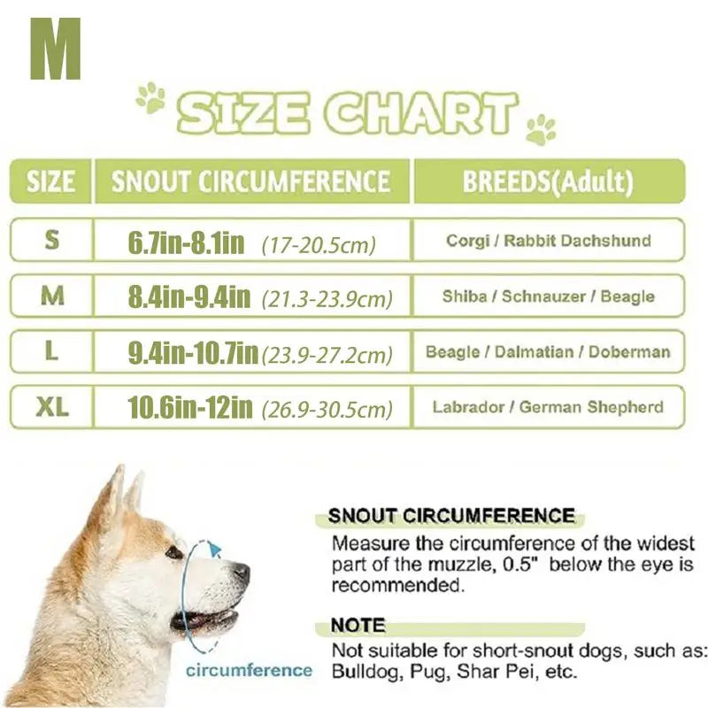 Muselière légère pour apaiser sans briser le lien