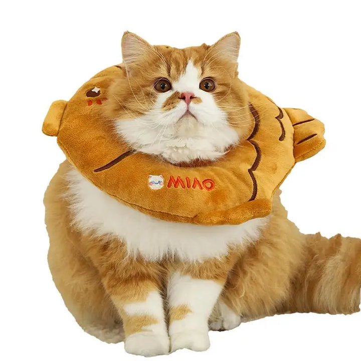 Collier post-opératoire chat : douceur, confort et protection